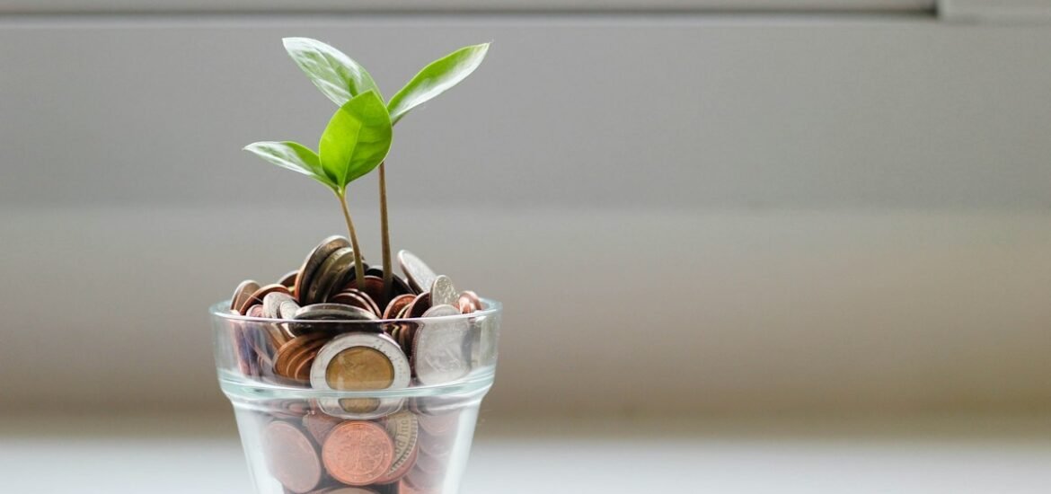 A small plant growing out of a jar of coins