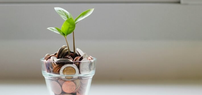 A small plant growing out of a jar of coins